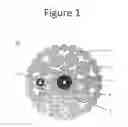 Fig. 02 - SENSING CABLE