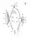 Fig. 06 - Protected optical single-fiber WDM system