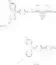 Fig. 85 - Image holding member for image forming apparatus, process cartridge, and image forming apparatus