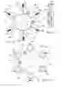 Fig. 09 - Non-contacting conveyance equipment