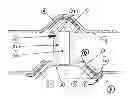 Fig. 01 - Connecting arrangement between a plastic component and another structural element
