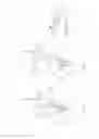 Fig. 04 - Seal support of titanium aluminide for a turbomachine