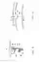 Fig. 06 - Seal support of titanium aluminide for a turbomachine