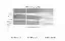 Fig. 71 - Lifting Foil