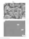 Fig. 02 - IRON-BASED ALLOY FOR POWDER INJECTION MOLDING