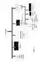 Fig. 06 - System and method for extraction of chemicals from lignocellulosic materials