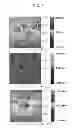 Fig. 08 - Large-area carbon nanomesh from polymer and method of preparing the same