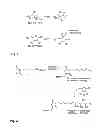 Fig. 02 - Method of labelling a biologically active molecule with 5-fluoro-5-deoxypentose or a 3-fluoro-3-deoxypentose