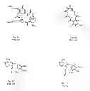 Fig. 02 - Small-molecule HSP90 inhibitors