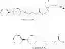 Fig. 96 - Pharmaceutical compositions of conjugates formed from polymer derivatives having particular atom arrangements