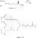 Fig. 99 - Pharmaceutical compositions of conjugates formed from polymer derivatives having particular atom arrangements