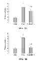 Fig. 04 - Compositions and Methods Comprising BMP-7