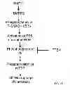 Fig. 22 - Compositions and Methods Comprising BMP-7
