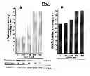 Fig. 02 - COMPOSITIONS AND METHOD FOR INCREASING PRODUCTION OF RECOMBINANT GAMMA-CARBOXYLATED PROTEINS