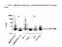 Fig. 08 - Modified proteins and peptides
