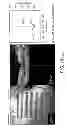 Fig. 112 - Use of omega fatty acids for treating disease