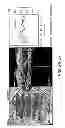 Fig. 161 - Use of omega fatty acids for treating disease
