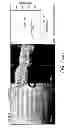 Fig. 24 - Use of omega fatty acids for treating disease