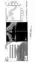 Fig. 243 - Use of omega fatty acids for treating disease