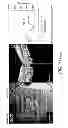 Fig. 48 - Use of omega fatty acids for treating disease