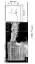 Fig. 76 - Use of omega fatty acids for treating disease
