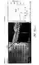 Fig. 89 - Use of omega fatty acids for treating disease