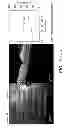 Fig. 91 - Use of omega fatty acids for treating disease