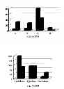 Fig. 13 - Protein complex comprising MCM8 and MCM9 proteins and their use