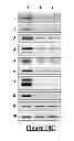 Fig. 16 - Protein complex comprising MCM8 and MCM9 proteins and their use
