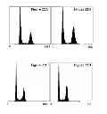Fig. 22 - Protein complex comprising MCM8 and MCM9 proteins and their use