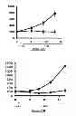 Fig. 28 - Protein complex comprising MCM8 and MCM9 proteins and their use