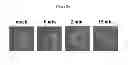 Fig. 06 - Methods of Treating Herpesvirus Infections