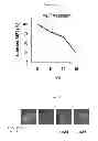 Fig. 09 - Methods of Treating Herpesvirus Infections