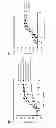 Fig. 06 - Anti-pseudomonas Psl binding molecules and uses thereof