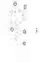 Fig. 45 - Anti-pseudomonas Psl binding molecules and uses thereof