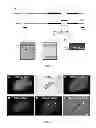 Fig. 02 - PNMT AS A NOVEL MARKER FOR PROGENITOR CELLS