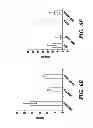 Fig. 29 - METHOD FOR CONTROLLING TUMOR GROWTH, ANGIOGENESIS AND METASTASIS USING IMMUNOGLOBULIN CONTAINING AND PROLINE RICH RECEPTOR-1 (IGPR-1)