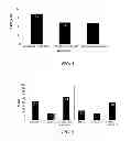 Fig. 07 - Group A streptococcal M-related proteins and methods of use