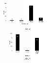 Fig. 08 - Group A streptococcal M-related proteins and methods of use