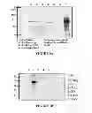 Fig. 06 - Beta-lactam compounds for enhancing T cell-mediated immune responses