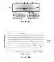Fig. 09 - Beta-lactam compounds for enhancing T cell-mediated immune responses