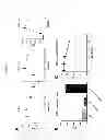 Fig. 02 - Anti-viral compounds