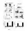Fig. 02 - Use of an IL12 receptor-beta 1 splice variant to diagnose active tuberculosis