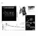 Fig. 04 - Injectable cryogel vaccine devices and methods of use thereof