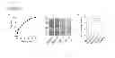 Fig. 46 - Injectable cryogel vaccine devices and methods of use thereof