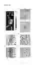 Fig. 47 - Injectable cryogel vaccine devices and methods of use thereof
