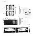 Fig. 49 - Injectable cryogel vaccine devices and methods of use thereof