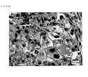 Fig. 52 - Injectable cryogel vaccine devices and methods of use thereof