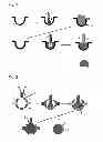 Fig. 02 - CAPSULE WHOSE ENVELOPE IS SEPARATELY IMPERCEPTIBLE DURING THE TOPICAL USE THEREOF