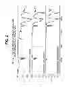 Fig. 03 - Rinse-off skin care compositions containing cellulosic materials